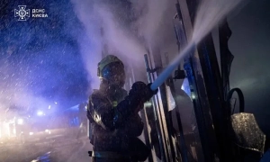 Тропічне диво: у Дарницькому районі Києва біля висоток прижився банан