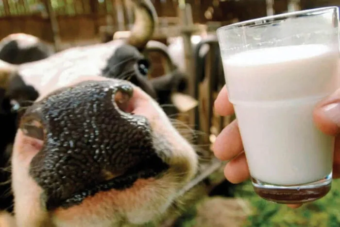 Молдова купила понад дві третини молока з України