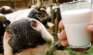 ЄК введе санкції проти Польщі