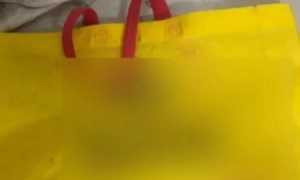 Зеленський привітав Санду із програшем росії у Молдові