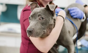 У РФ пригрозили Україні «виходом низки областей»