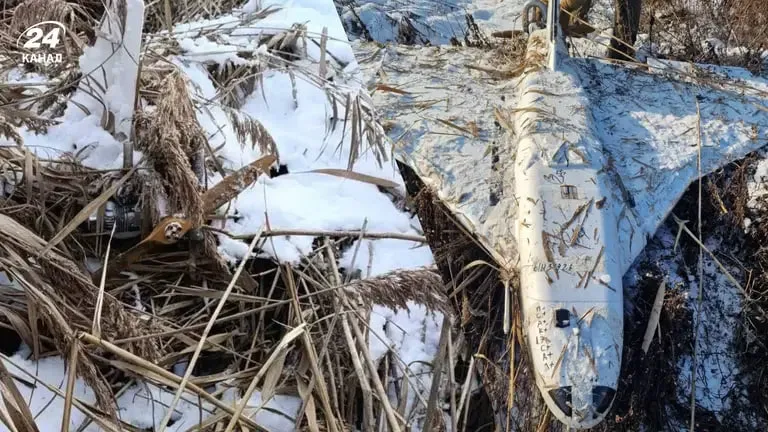 У Молдові впав черговий російський безпілотник "Гербера"
