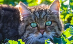 Картридж фільтр для води: різновиди та особливості їх заміни