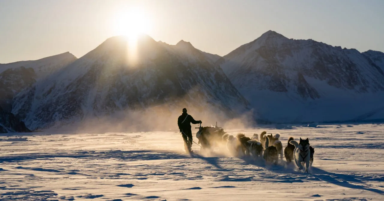Посланця Трампа відсторонили від перегонів на собачих упряжках у Гренландії