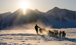 Африканські льодовики можуть зникнути через 20 років: чим це загрожує