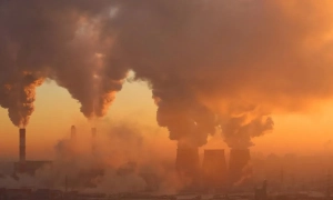 Довів банк до банкрутства: СБУ зупинила злочинну діяльність фінансового шахрая