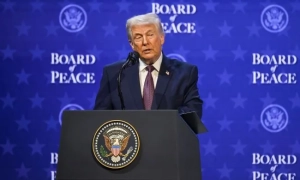 Мерц підтримав безпеку Гренландії та повагу до територіальної цілісності