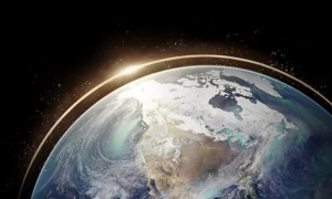 У Twitter заборонили гіфки