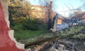 На Закарпатті значно поменшало угорського населення за час війни