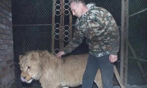 Міністр інфраструктури розповів, як подорожчають залізничні квитки