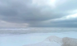 Свіжий рейтинг партій: «Слуга народу» має 20% голосів