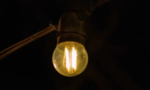 В застосунку «Дія» з'явилася нова корисна послуга для батьків