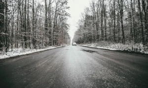 В застосунку «Дія» з'явилася нова корисна послуга для батьків