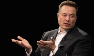 IKEA знайшла заміну російській деревині в Швеції та країнах Балтії