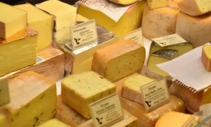 В Охматдиті провели трансплантацію кісткового мозку від неродинного донора