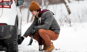 Епштейн цікавився львівською віллою на вулиці Бориса Романицького