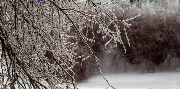 Північ Японії засипає снігом до 2 метрів, загинули 35 людей