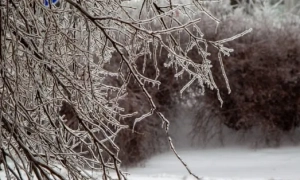 Ультраоброблену їжу вчені пропонують регулювати так само, як тютюн