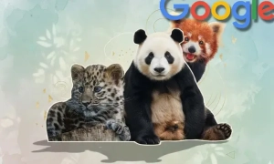 Картка на пальці. В Японії представили кільця для оплати покупок