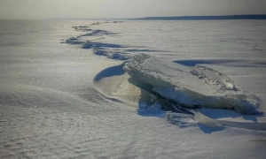 «Олімпійський» закривається для підготовки фіналу Ліги Чемпіонів