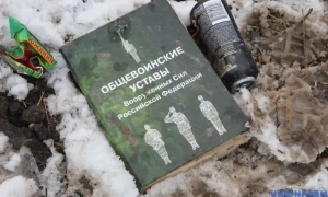 Ukrainian Forces repel Russian DRG attack near Pokrovsk (video)