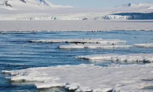 Media informują o przygotowaniach NATO do uruchomienia misji wojskowej w Arktyce
