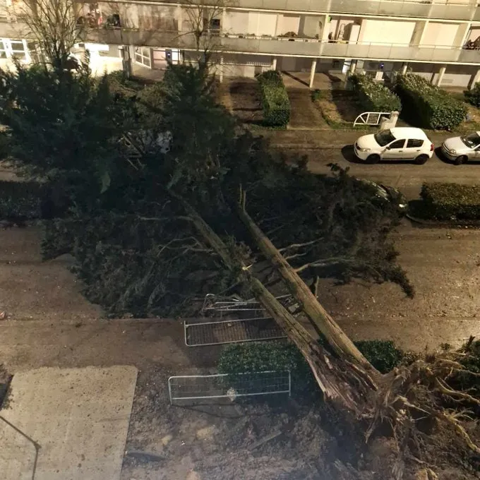 Шторм «Нільс» знеструмив сотні тисяч осель на півдні Франції