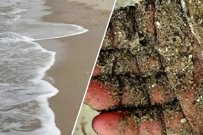 На узбережжі Одещини зафіксували масштабний екоцид