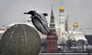 Пєсков прокоментував замах на топ-генерала Алексєєва в Москві