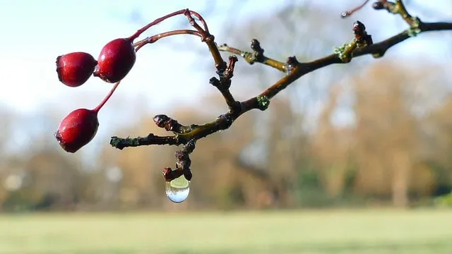 25 лютого: яке сьогодні свято, іменини та народні прикмети