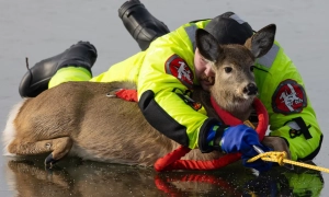 Український оборонний завод Ukrspecsystems відкрив виробництво у Британії, — Залужний