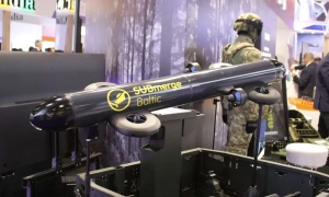 У Румунії підрахували, скільки українських ухилянтів незаконно перетнули кордон