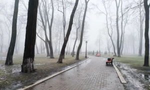 Окупанти обчистили музеї Маріуполя: які експонати вкрали