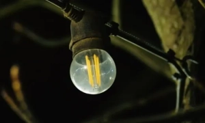 На Закарпатті медики врятували чоловіка, серце якого не билось 25 хвилин