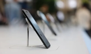 В Італії вперше дозволили продавати борошно з комах для людей