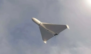 Німецька розвідка попереджає про загрозу втручання рф у місцеві вибори