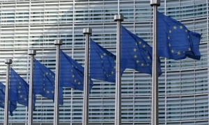 Франція заявила про можливе втручання Росії у муніципальні вибори