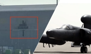 Українка виграла $1 мільйон в американську лотерею