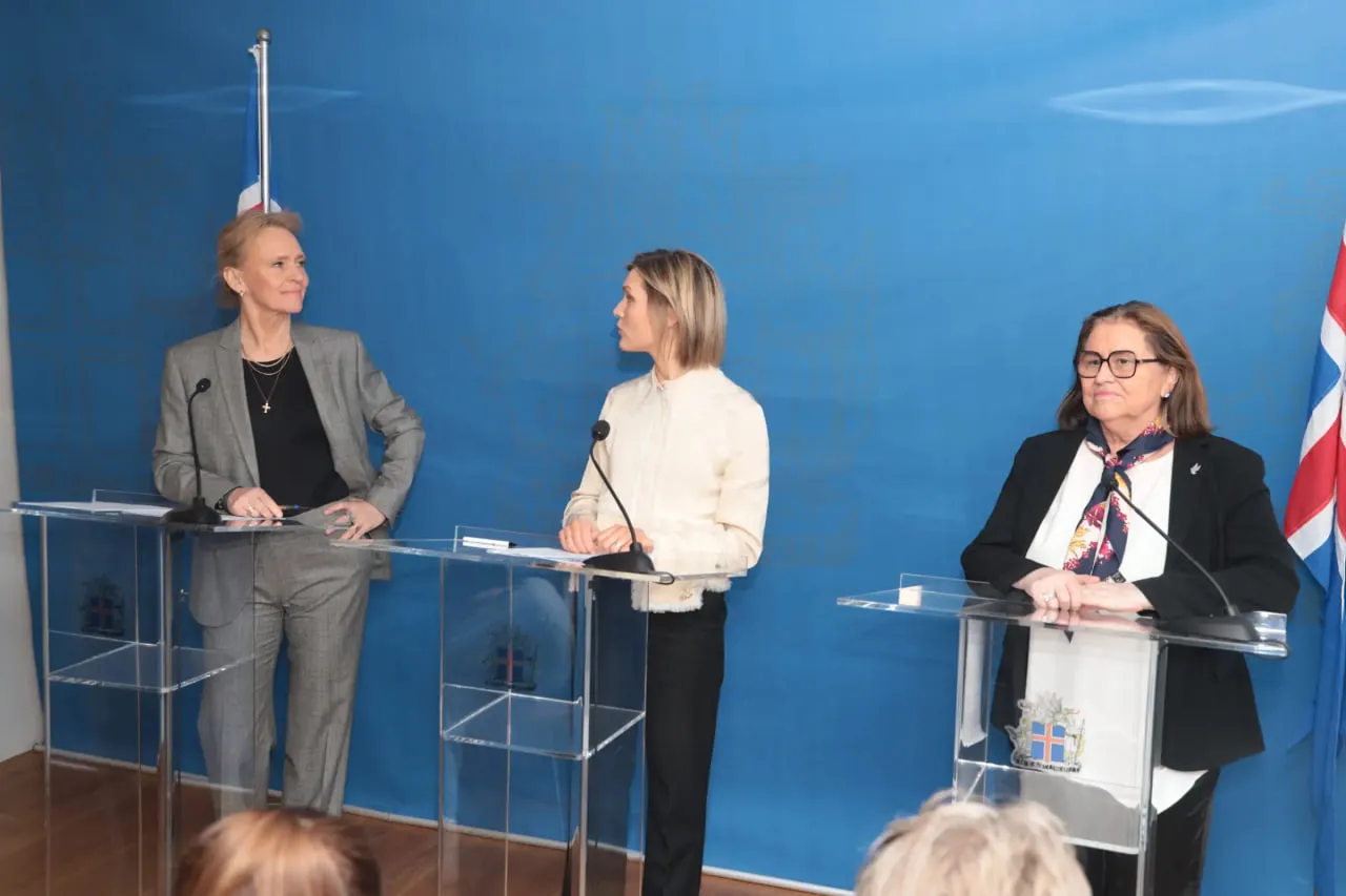 В Ісландії можуть провести референдум щодо відновлення переговорів про вступ до ЄС