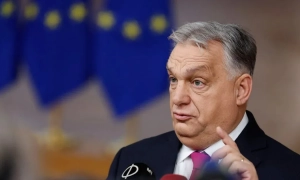 Російський бізнес готується до масового закриття через податковий тиск