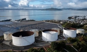 Новий скандал із Бріджит Макрон: на сайті податкової служби її зареєстровано як чоловіка