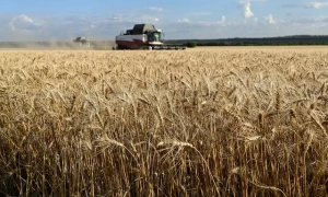 У Сирії повстанці заявили про звільнення Дамаска та втечу Асада