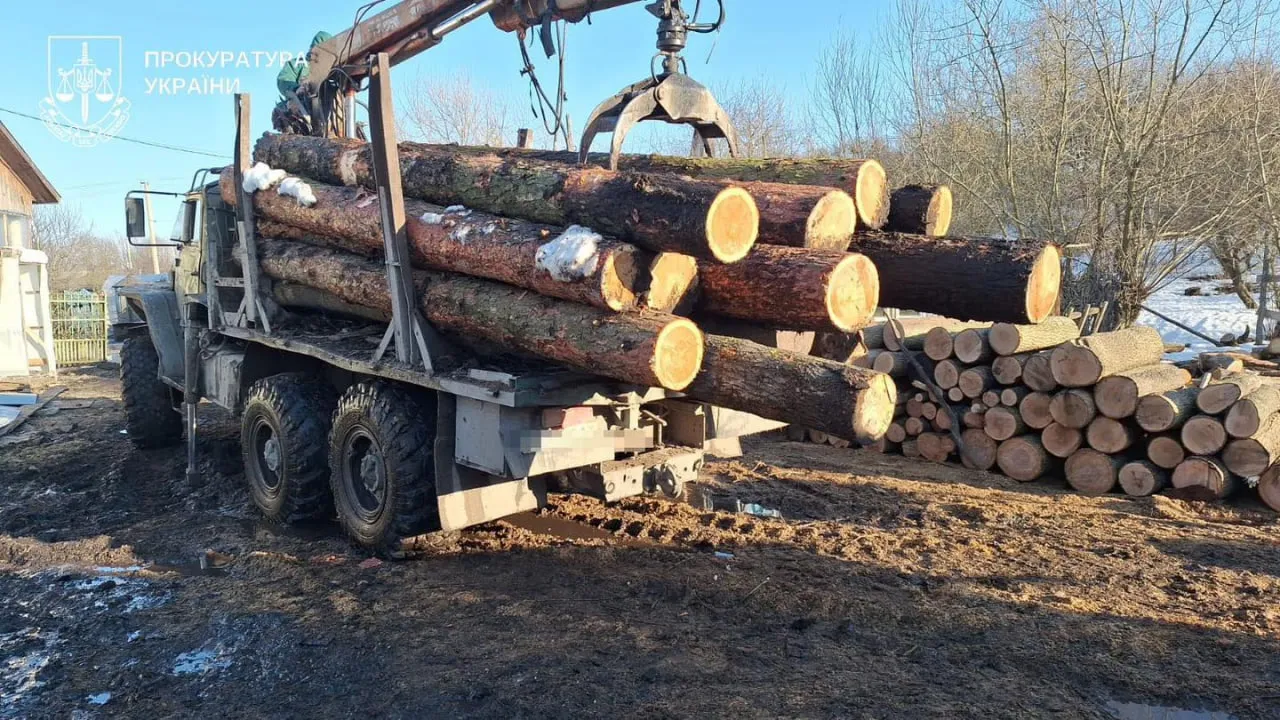 На Тернопільщині викрили схему вирубки лісу в заповіднику