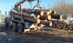 Відео: під Бердянськом дорожники заасфальтували річку