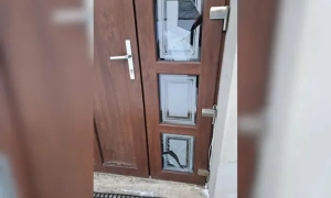 Зеленський привітав Антоніу Жозе Сегуру з обранням президентом Португалії