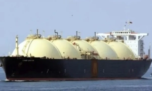 ООН повідомила про десятки вбитих та до тисячі затриманих у Венесуелі