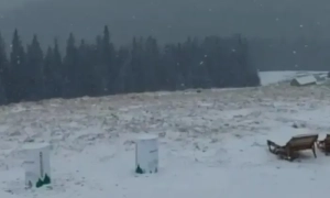 У Кабміні заявили, що Крим буде повернути легше, ніж Донбас