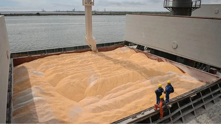 Ціни на пшеницю в Україні зросли до піврічного максимуму