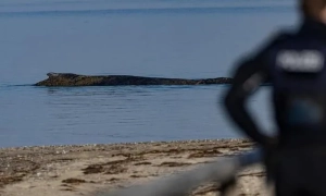 В РФ айтішників можуть саджати на 10 років за шкоду цифровій інфраструктурі