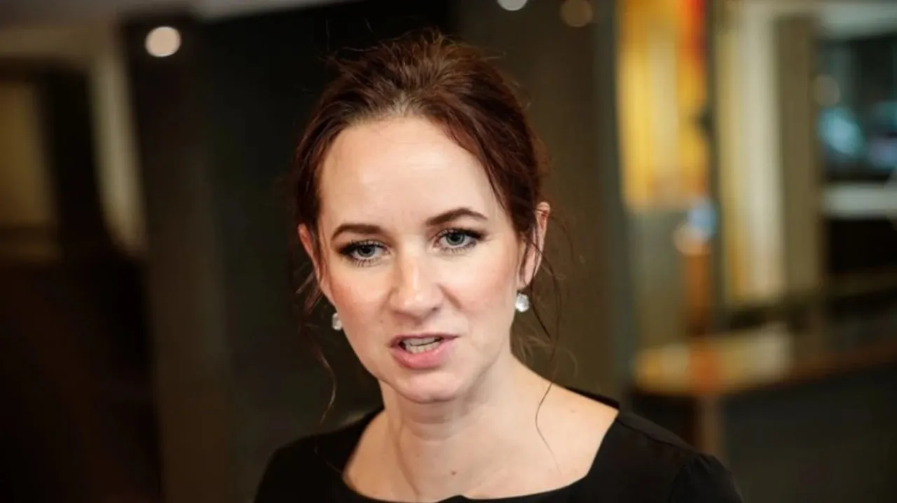 Прем’єрка Литви підтвердила, що у країні впав український дрон